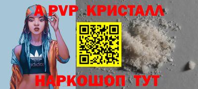 a pvp Кингисепп