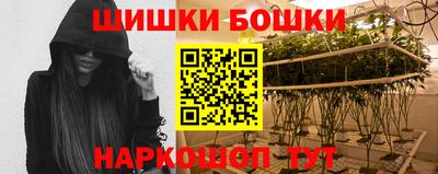 a pvp Кингисепп