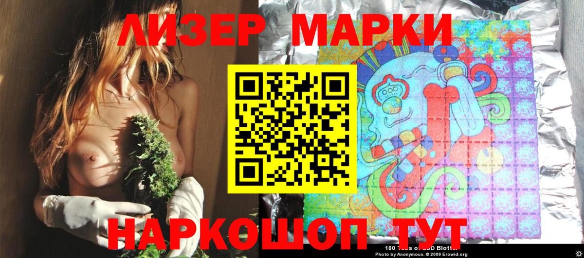 МЕТАДОН Коряжма