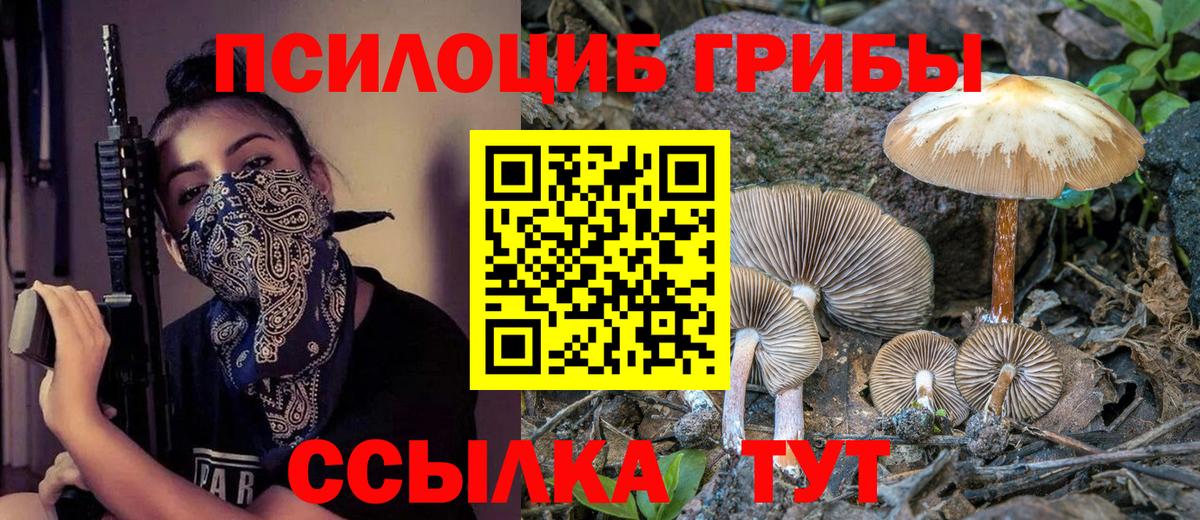 даркнет сайт  Галлюциногенные грибы ЛСД  Вход с VPN  Коряжма 