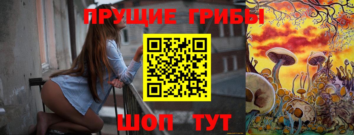 Псилоцибиновые грибы Psilocybe Коряжма